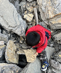 5���к���ɽ�����Ĺ�ʯͷ������5����ǰ�����ﻯʯ