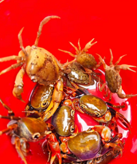 ������ƫ����̨�����Ӻ����Լ�����Щ����ζ������������