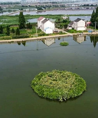 [50.6Ķ]̨�ݴ˵ص�58�䷿��Ҫ����Ǩ��