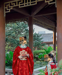 [���]��ɴ����ͼQQ��ͨ��һ�㵽λ