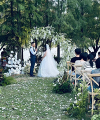 �����졿66�߻� 20800