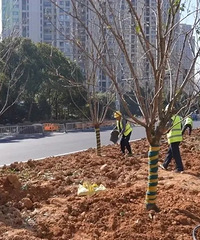 Ԥ�����ȫ������������������������ӭ��ȫ���������