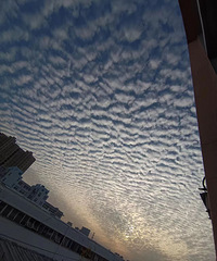 ����Ȧ��̨�ݵ���ˢ��������ʲô����