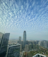 ����Ȧ��̨�ݵ���ˢ��������ʲô����