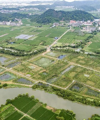 �����������ʪ��TA�Ƕ���һ�����ü�԰��