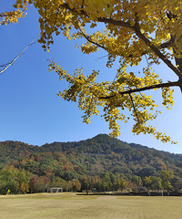 ��ɫ���˵�����ɽ������԰