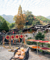 �����ֿ�ɹ����ų�����Ҫ�ŶӴ�