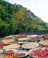 �����ֿ�ɹ����ų�����Ҫ�ŶӴ�