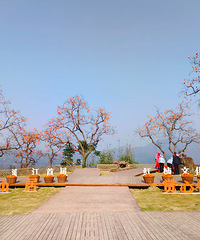 ���ζ�¯������Ӻ��ˣ�һ��������ɽ���С����