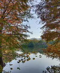 ����ɽ��԰����ĩ�򿨺�ȥ������Ҷ��Ⱦ����ʤ�ա�