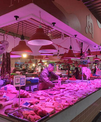 ȫ���ֹ��̨�ݿ�ʼ�ˣ�������Υ�߷���