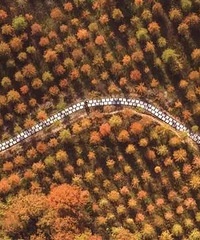 һ����ɫ�������Ӻ���ɼ��������׼�������������������������