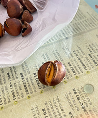 �ǳ���������30һ����Ͽ��ع�ÿ���ܾ�׬2000+