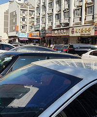 �������Υͣ����������