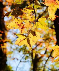 ���ϱƽ�0�棡̨����С�ģ���κ���...