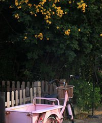 Ĵ԰ֵûƵģСãôܰ