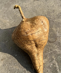 ����˫˫�ж���5��6�ž��޷���أ��������ѣ�ǧ����ϴ�