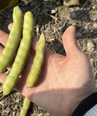 ����˫˫�ж���5��6�ž��޷���أ��������ѣ�ǧ����ϴ�