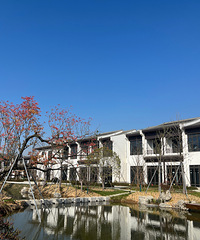 ��ʳ�ֵĸ�ѹ����һֱ��������