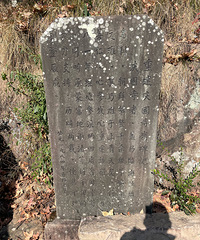 ���Ž�������ɽ