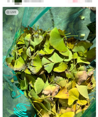 ̨�����ںܶ࣬ҽ�����ˣ��ж�����ͣ��