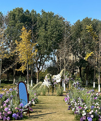 ����ɽ��԰�����̫�ʺ�������