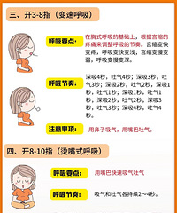 ���շ�����15���ӳ���˳����