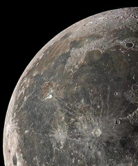 �����г�����ѵľ������û�����û