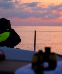 274��Сʱ��1558�������80�󡰷���Խ�й���