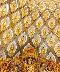 ��2023�μǡ�+�ϵ��İݹ���