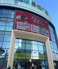 �������ʲô����ɭ�����������ܺó�