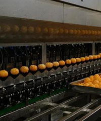 ����5��Ԫ��̨�ݹ�ͷǿ�ƿ���ո�¡�����Ȧ��