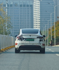 ż��һ����������ֳֹ��µ���˹��