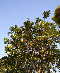 ���۸��᡿��԰�Ĵ�����Ϊʲô���ܷ������ļ�ֵ��