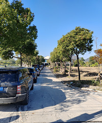 �������ġ����µ�ũׯͦ����Χͣ���˳�