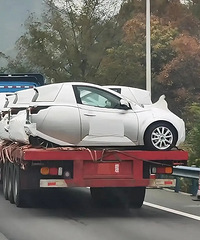 ����ʲô������֪������