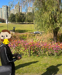 ���ɣ�̨�����ж��˱�����