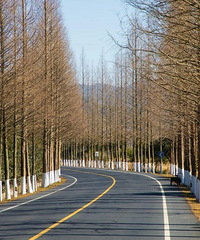 ̨������ũ��·��ȫʡ��������