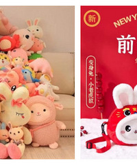 ɹ���ӵ�ʥ���������ë�����