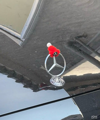 ���������ġ��ɰ���ʥ����ʽ��