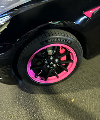 ���������ġ���˹��ö��ɫ��̥��Ȧ��Ư����