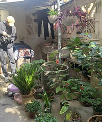 ���£����˼�ʮ��ľ�ˮ��ͻȻ���ڱ������������һ����һ��