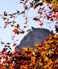 [����]̨�ݶ���ײ�ϡ������¡�