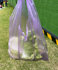 �ͺϹ�԰ΪʲôΧ�����ˣ�ҪΧ��ã�