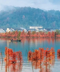 ̨�������ֻ��ˣ������ն³�����5����򿨵������