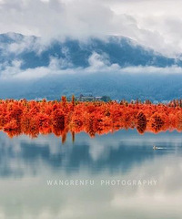 ̨�������ֻ��ˣ������ն³�����5����򿨵������