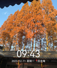 ����������ԽҰ��·������֮�ۡ�С�Ӵ��������Ҵ����ͽ��