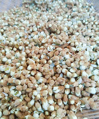 180Ԫ/���̨�ݽ�ͷ���У�����û�뵽�����⹦Ч