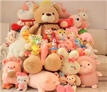 ɹʥ��������