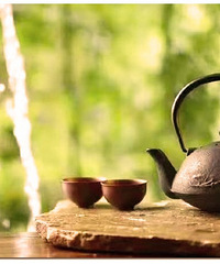 �ѵ����ѣ������ٽ����о�ϲ����89������������